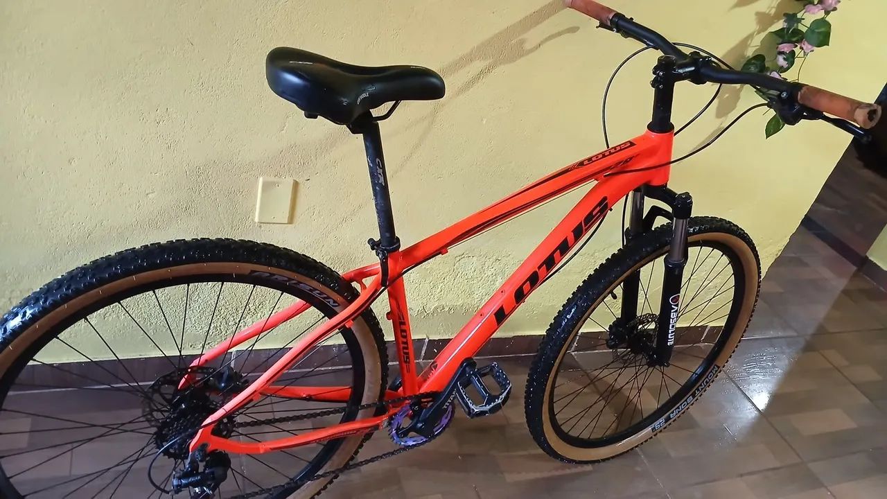 Bicicleta MTB aro 29 LOTUS - Foto 3