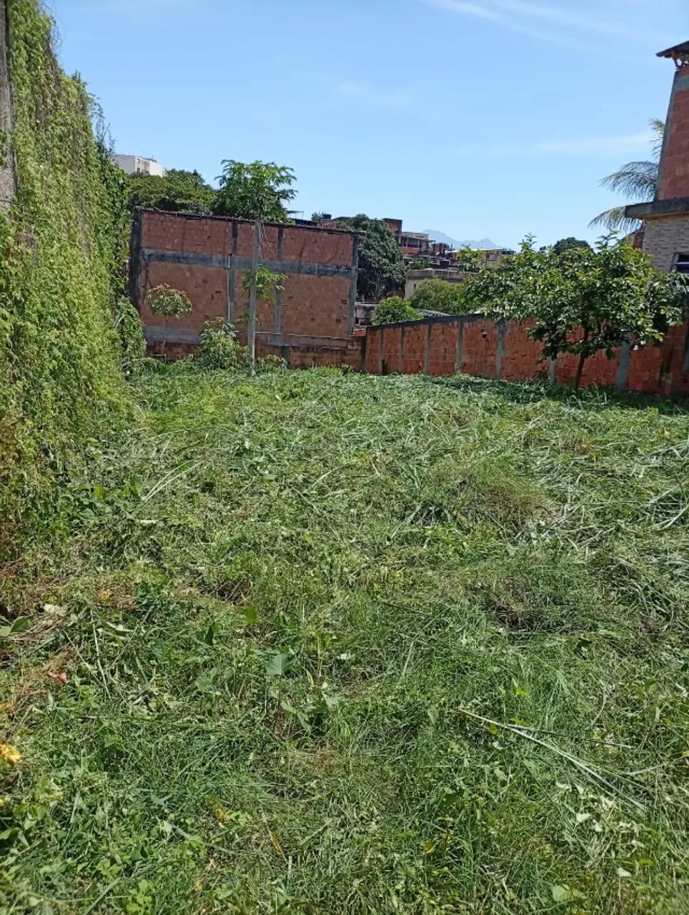 Terreno 300m2 - Foto 3