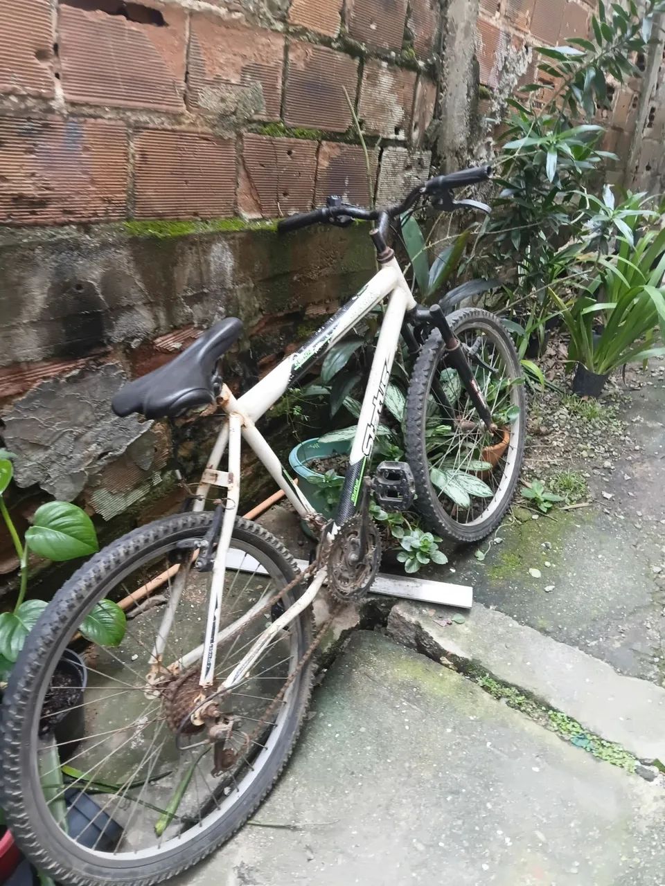 Bicicleta status lenda  - Foto 3