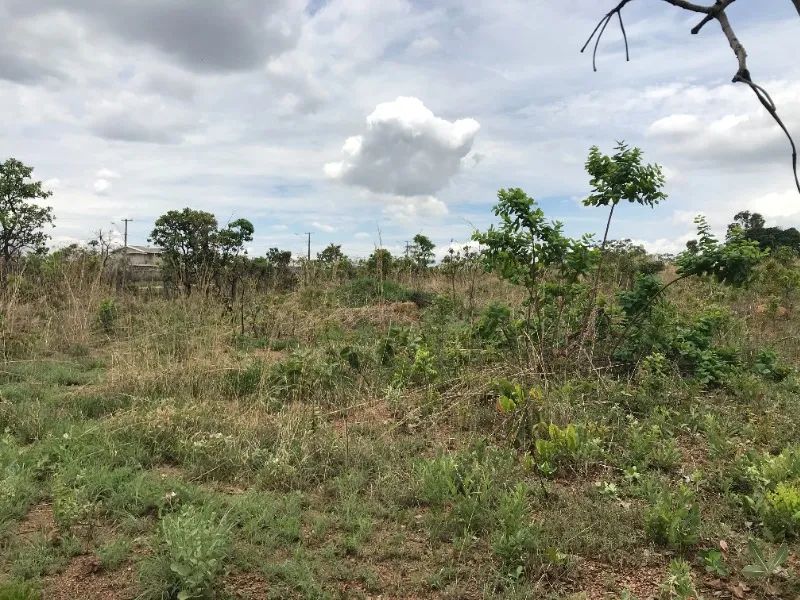 TERRENO RESIDENCIAL em BRASÍLIA - DF, PARK WAY - Foto 5