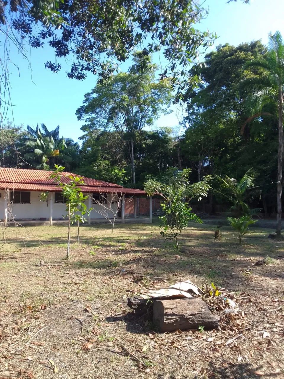 VENDO CHÁCARA C/ CASA EM BENEVIDES-PA - Foto 5