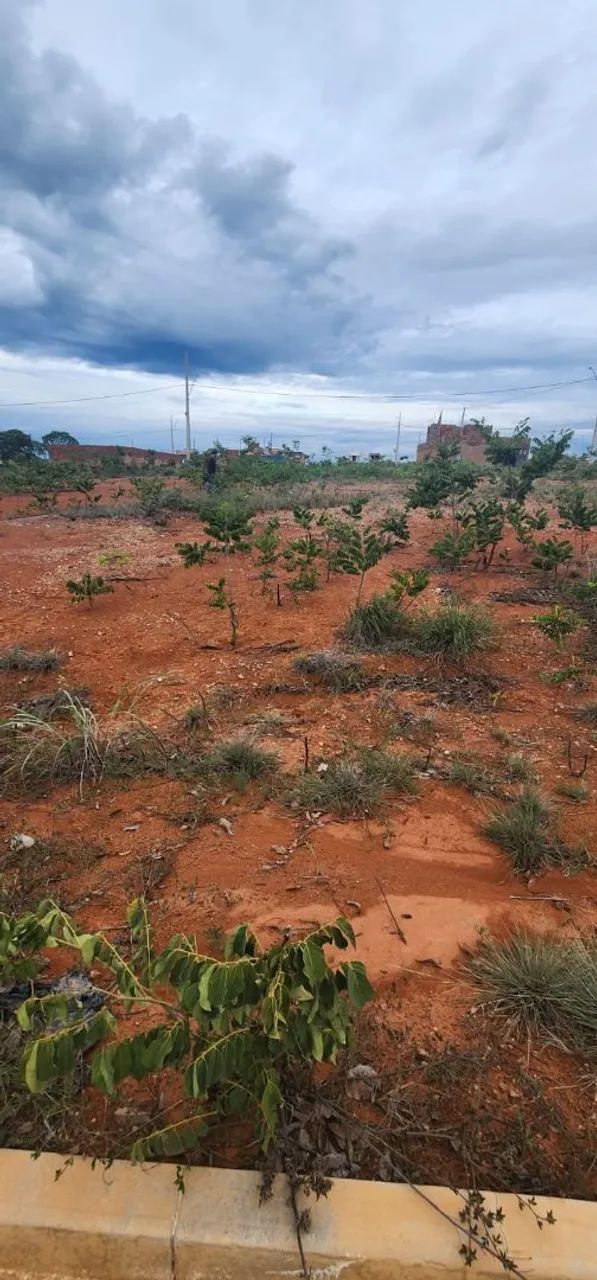 Lotes Quintas e Estancias da Produção - Foto 3