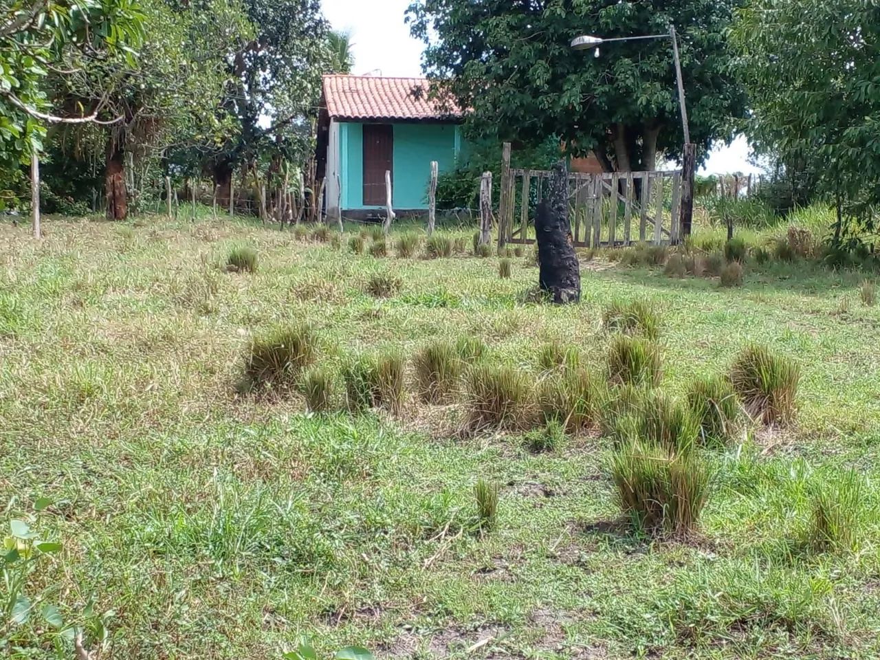 Chácara  - Foto 3