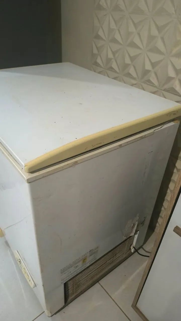 Freezer Horizontal Eletrolux H210 - Foto 4