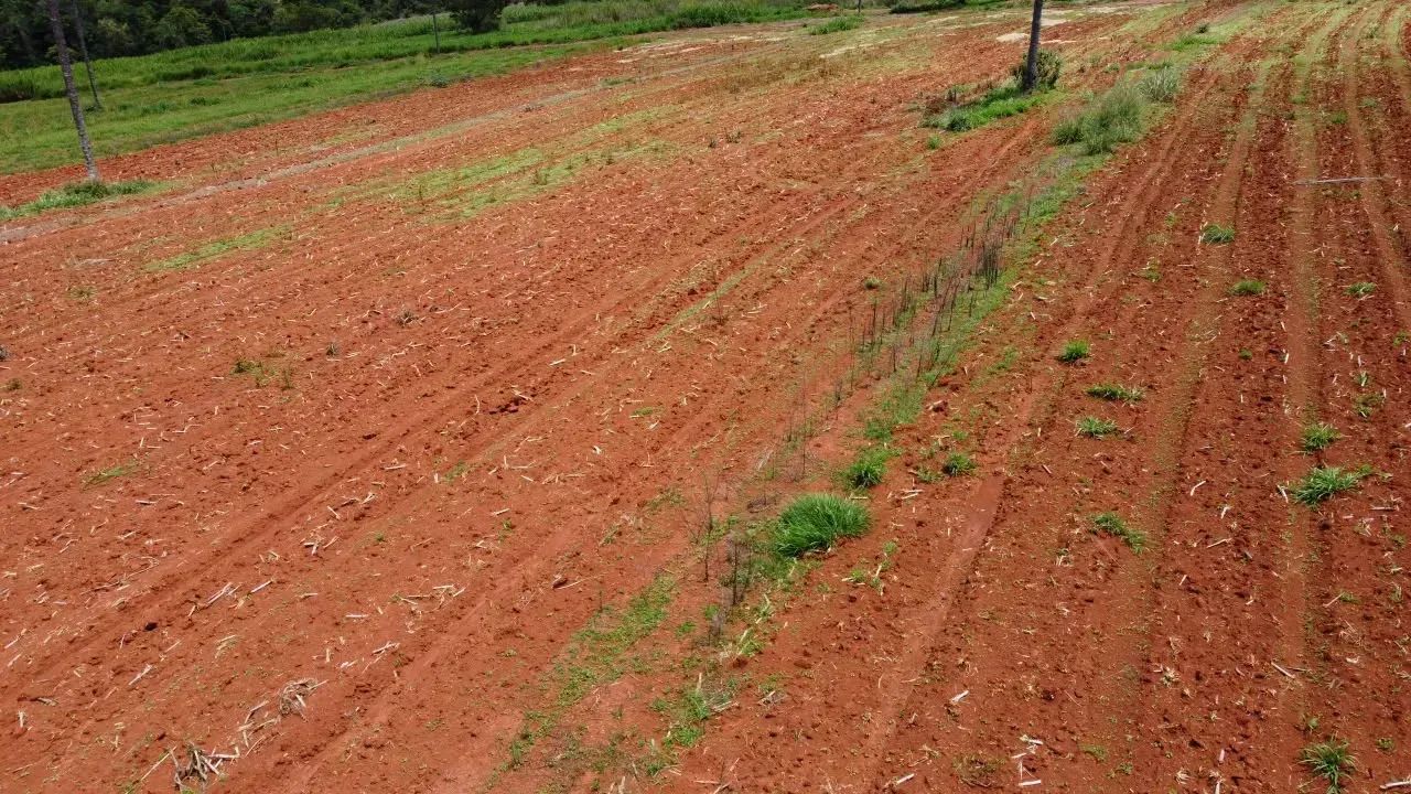 "Fazendinhas de 20 mil m² região de  Florestal - MG" - Foto 4