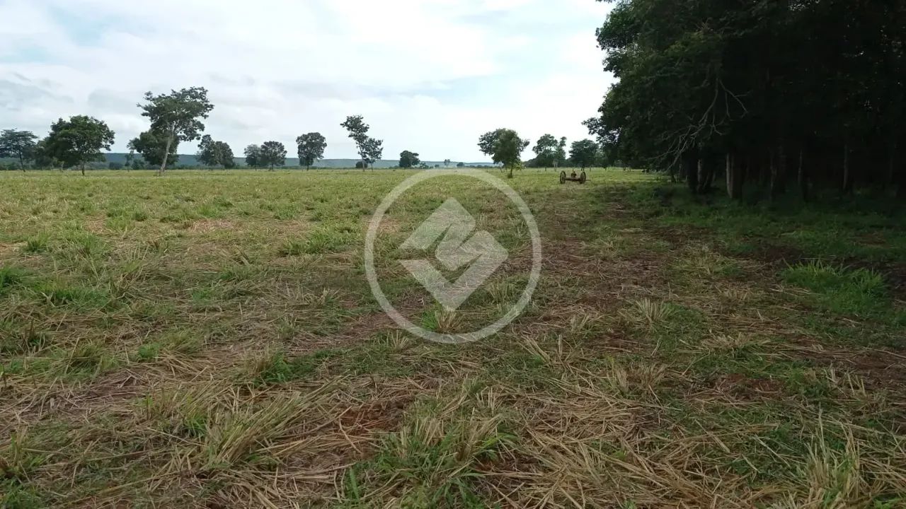 CHACARA 25 HECTARES codigo: 148841