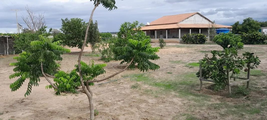 Sitio a venda. Pronto para morar.
