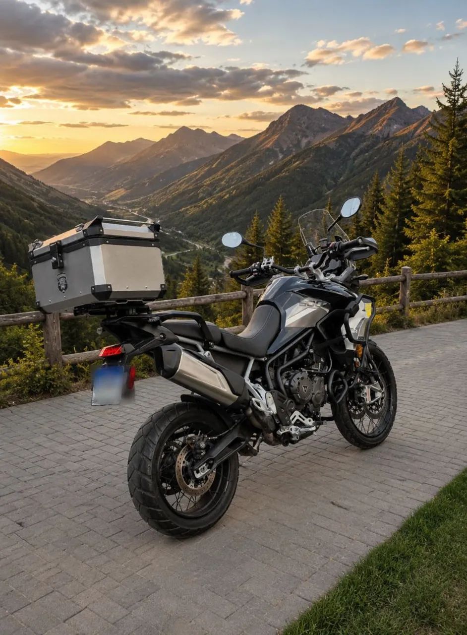 Tiger 900 Hally - Foto 3