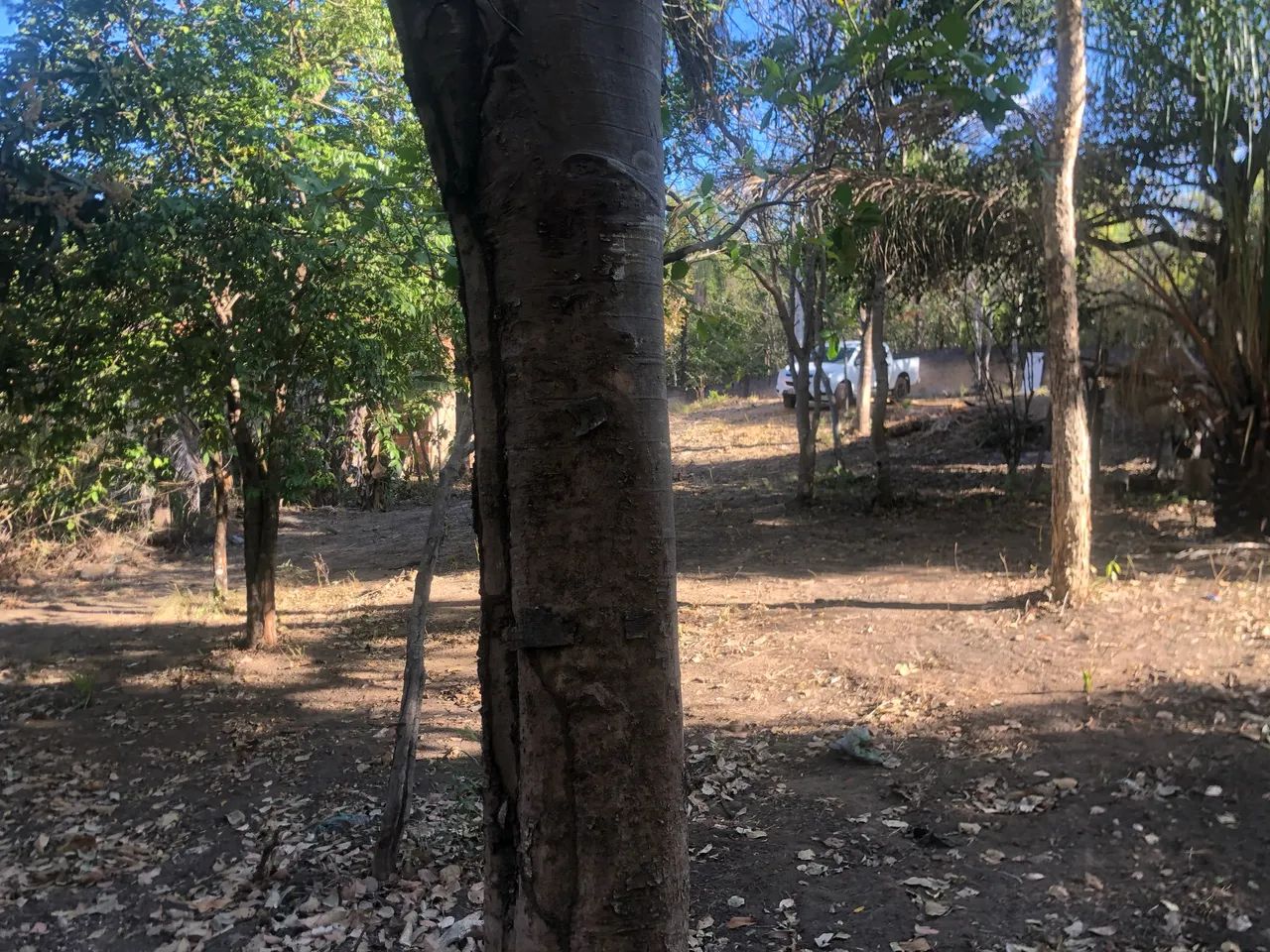 Vendo chácara taquarucu beira do rio - Foto 3