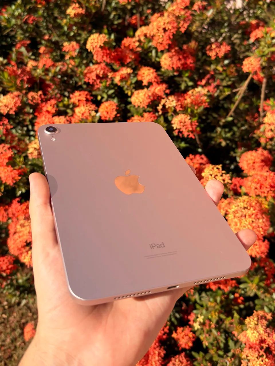 iPad mini, 6º geração, rosa  - Foto 2
