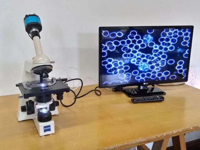 Microscopio de campo escuro  - Foto 2