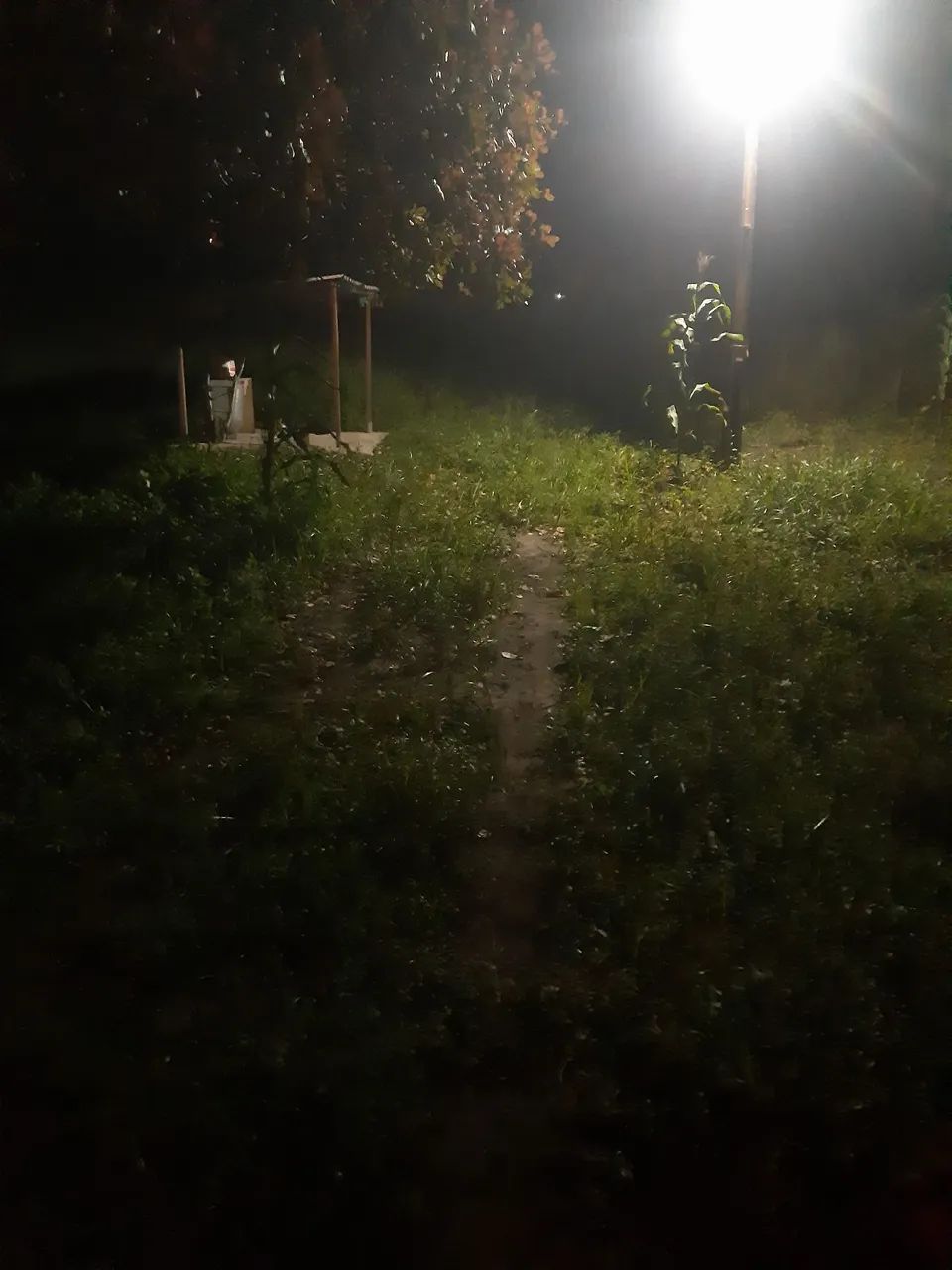 Sitio e chácara  - Foto 5