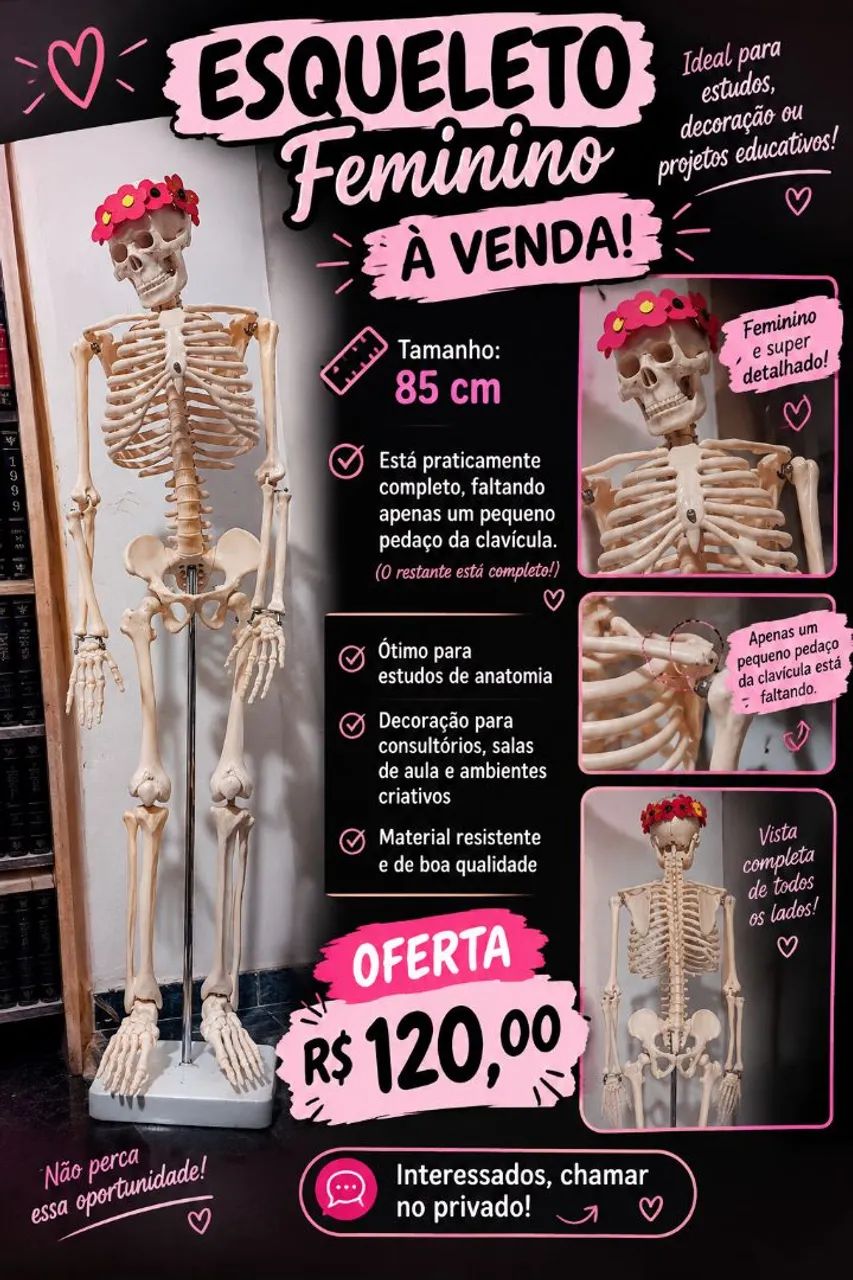 Esqueleto 