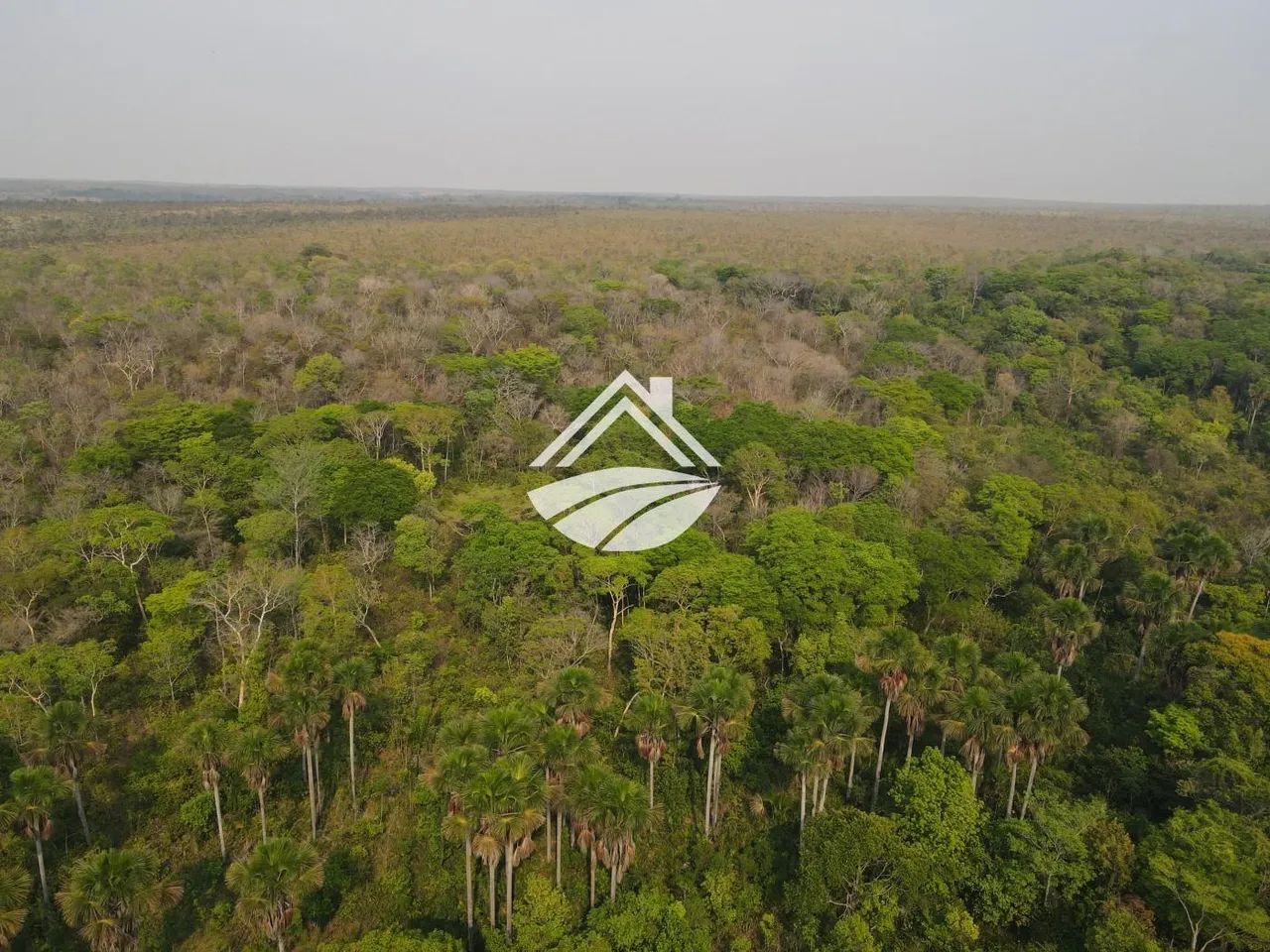 Fazenda para Venda em Lizarda