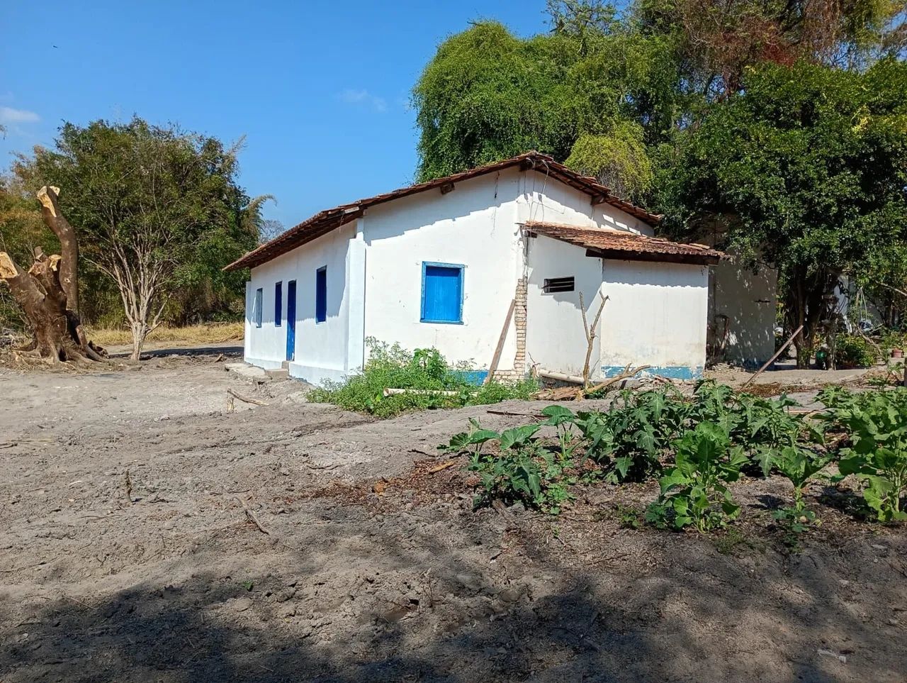 Terreno com casa em florestal  - Foto 2