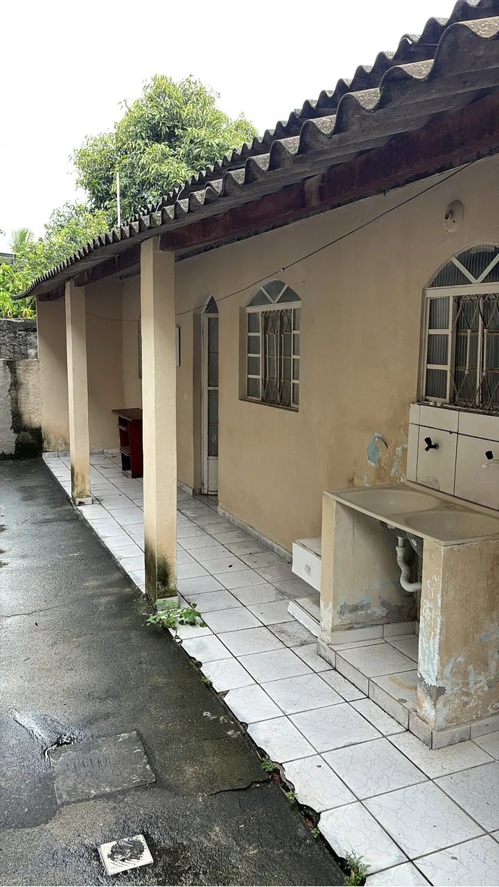 Foto - São Gonçalo - Coelho