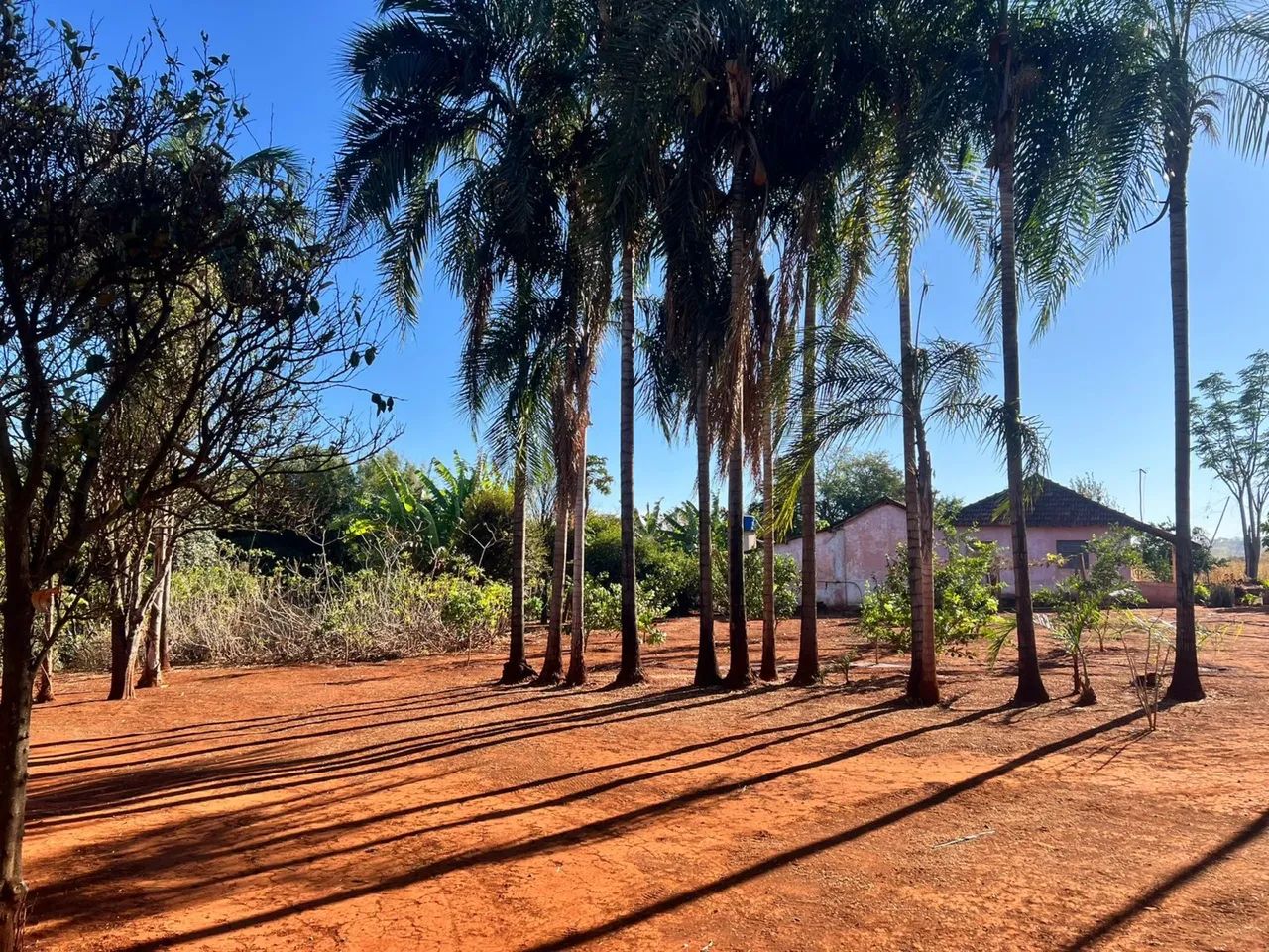 Fazenda à venda 2 alqueires e meio  - Foto 5