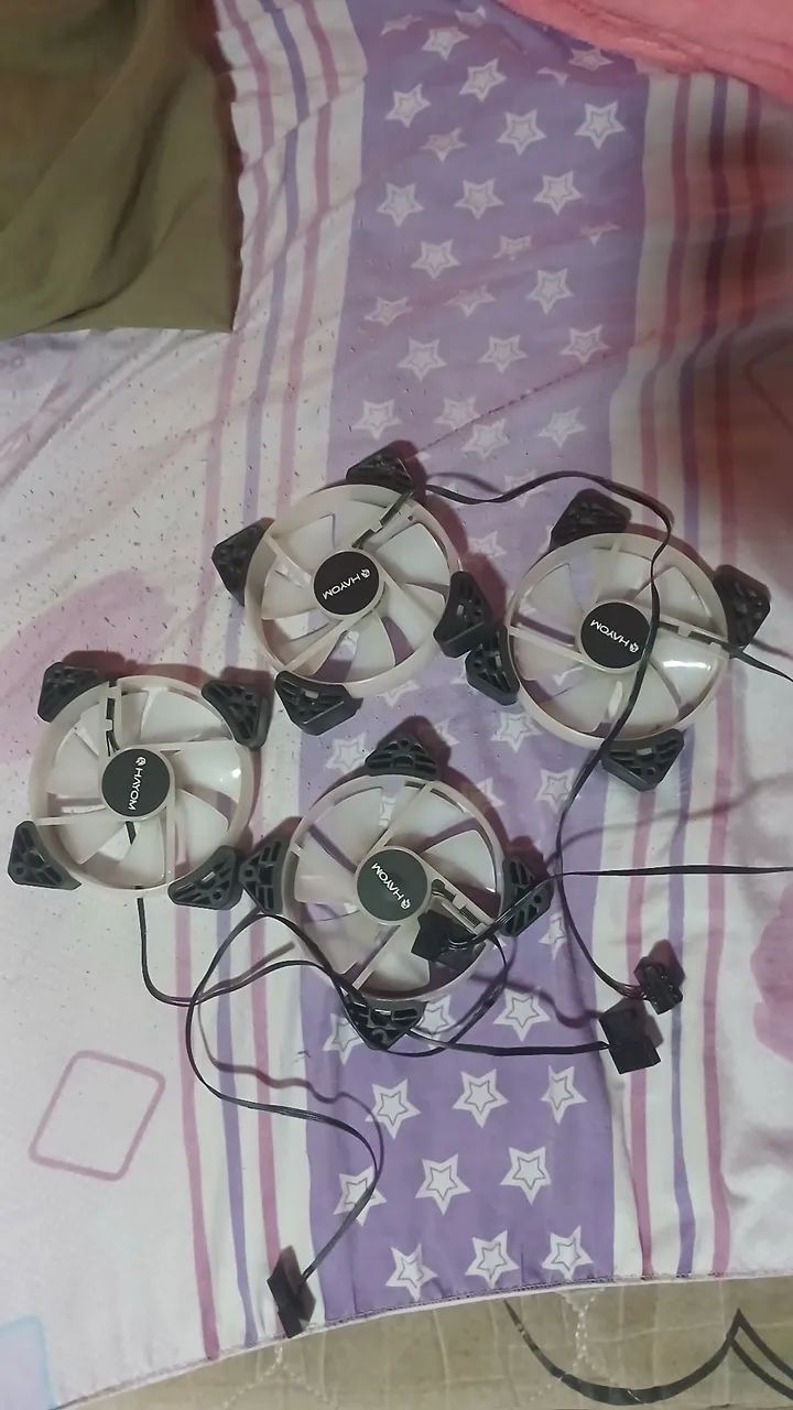 Fans