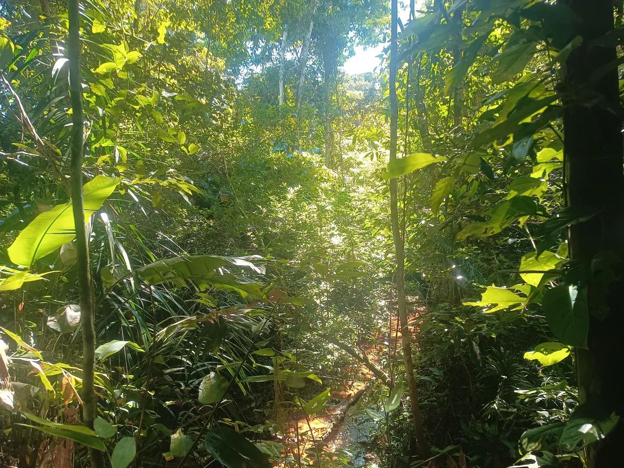 Serviço  - Foto 2