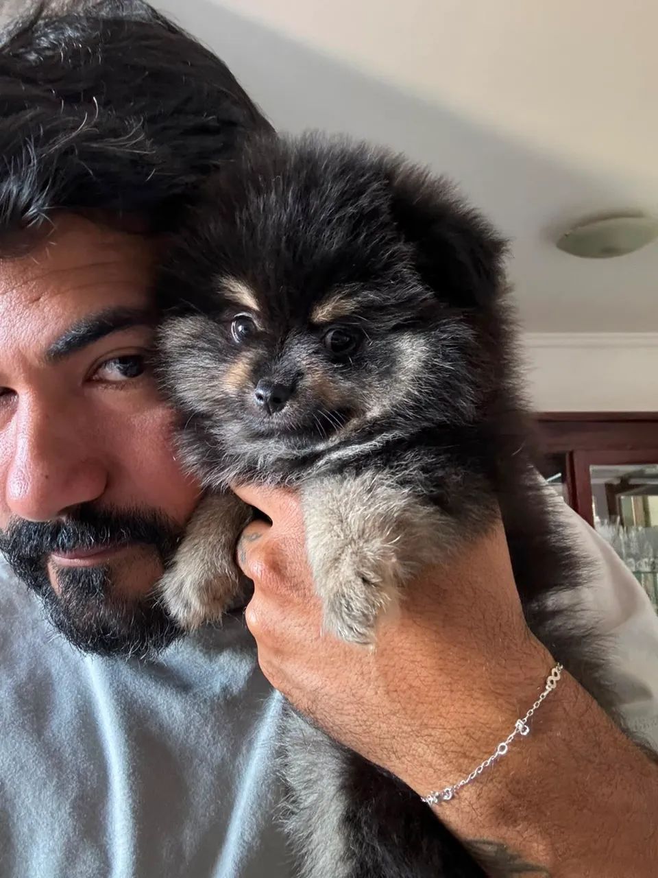 Spitz alemão  - Foto 3