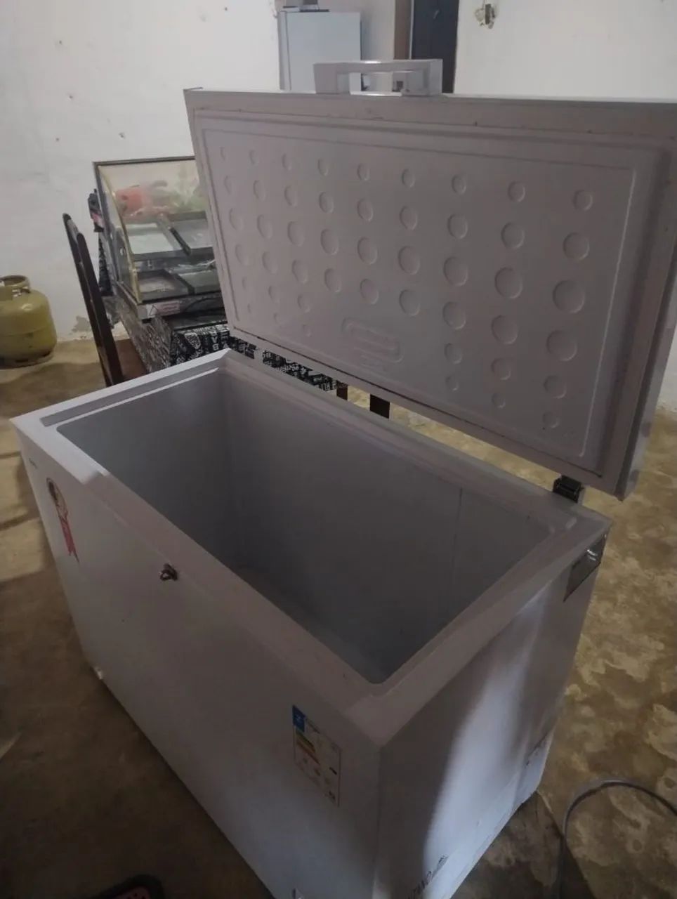 Freezer EOS 319L - Foto 3