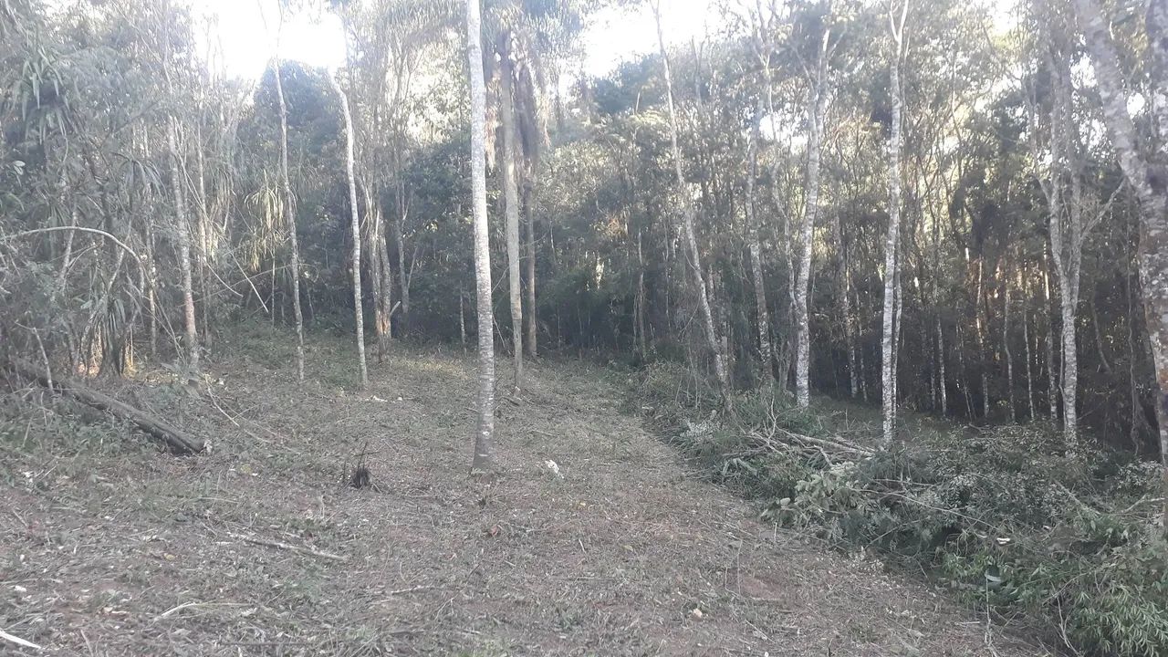 Foto - Ibiúna - 