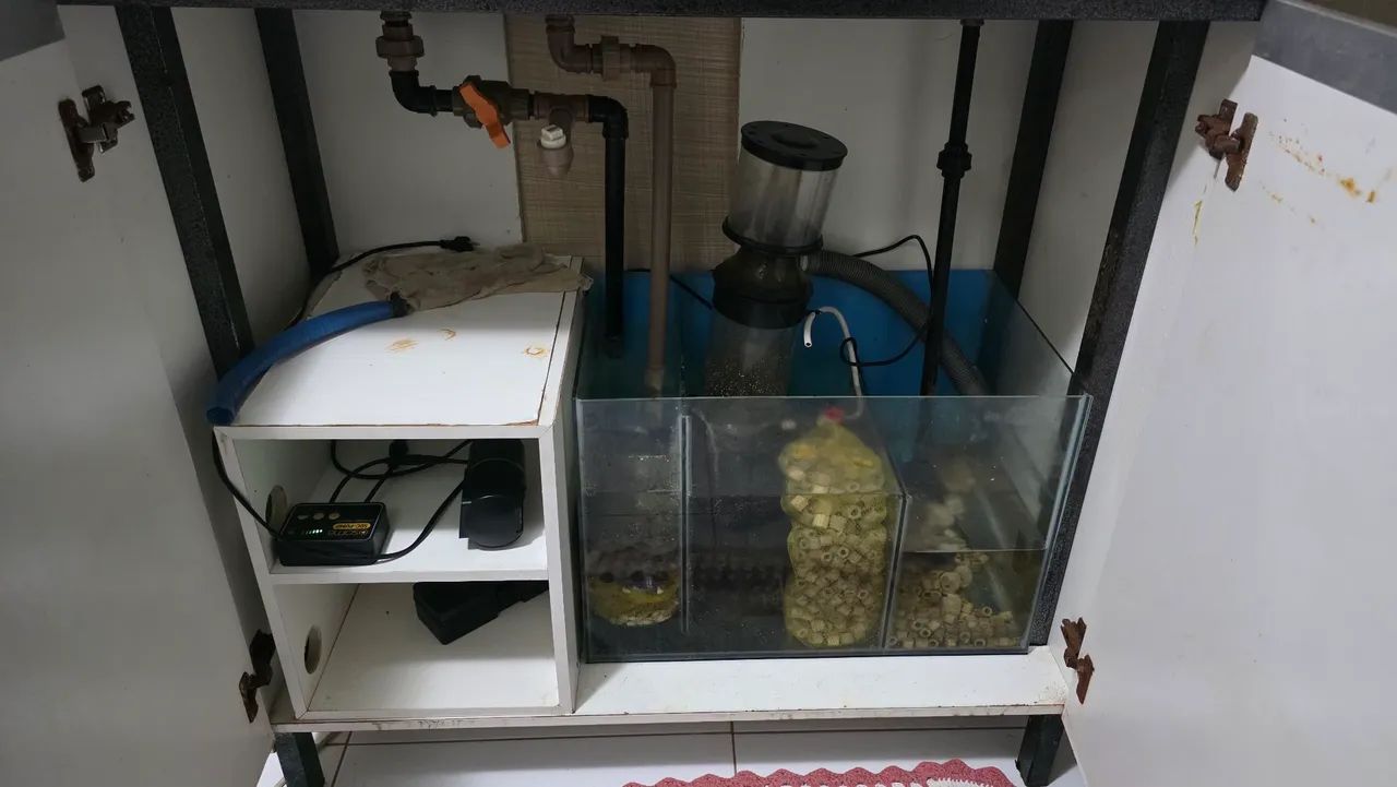 Aquário Marinho 250L Completo  - Foto 3