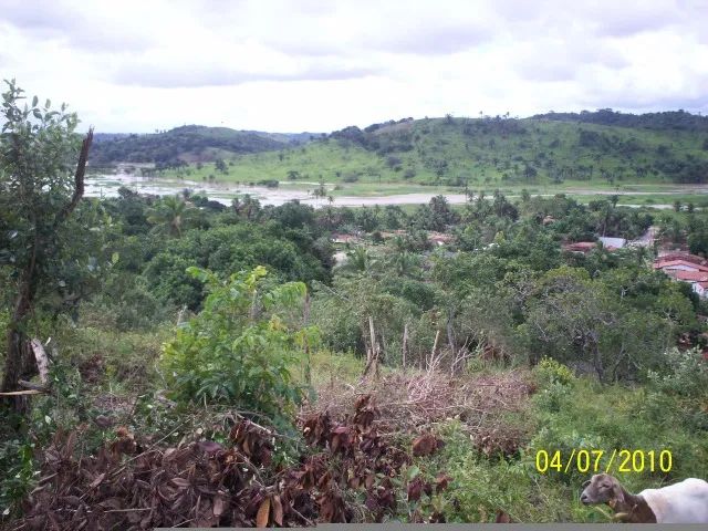 A GRADE OFERTA IMPERDIVEL  - Foto 12