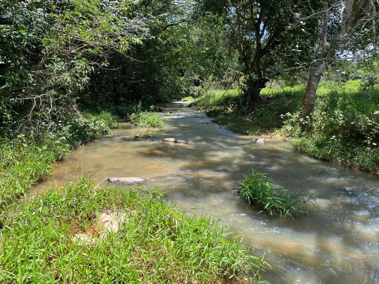 Chácara de 6 hectares próximo à Cristianopolis com córrego! - Foto 2