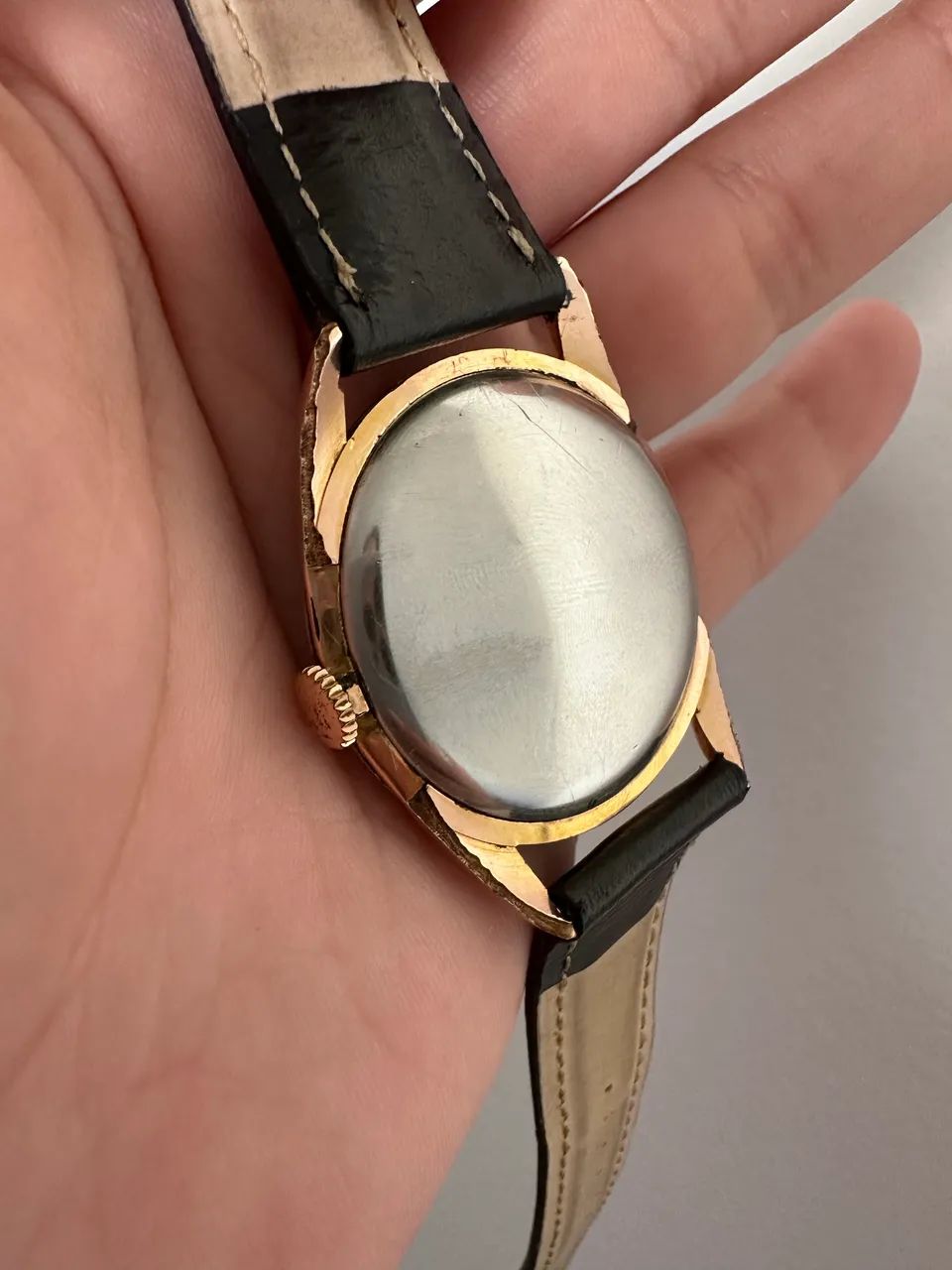 Omega Argentino  - Foto 3