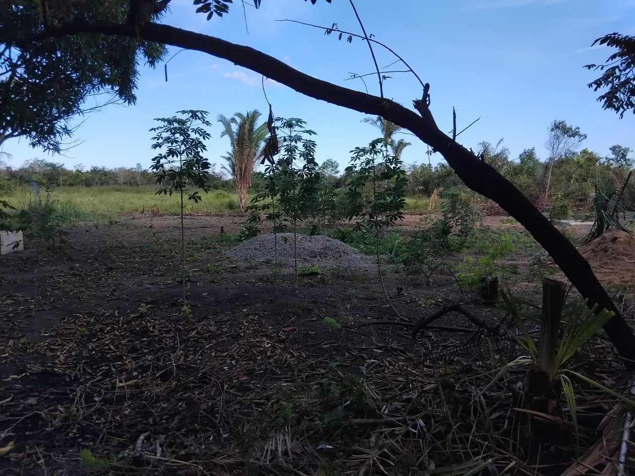 Terreno gigantesco  - Foto 5