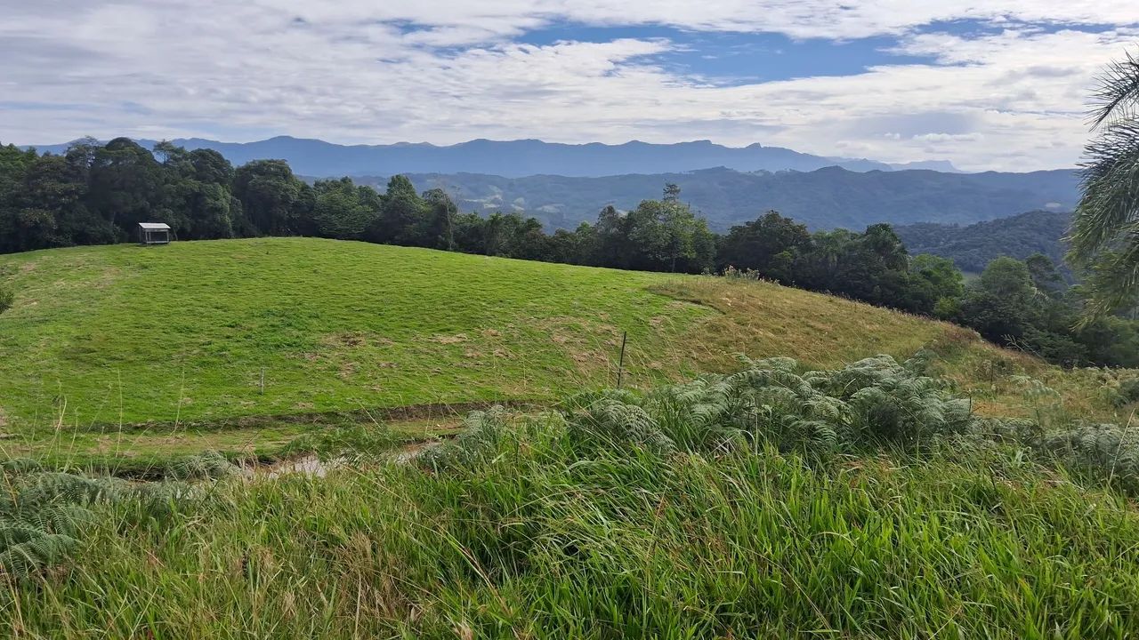 Área de 13 hectares apenas R$565.000,00 em Anitápolis-SC  - Foto 2