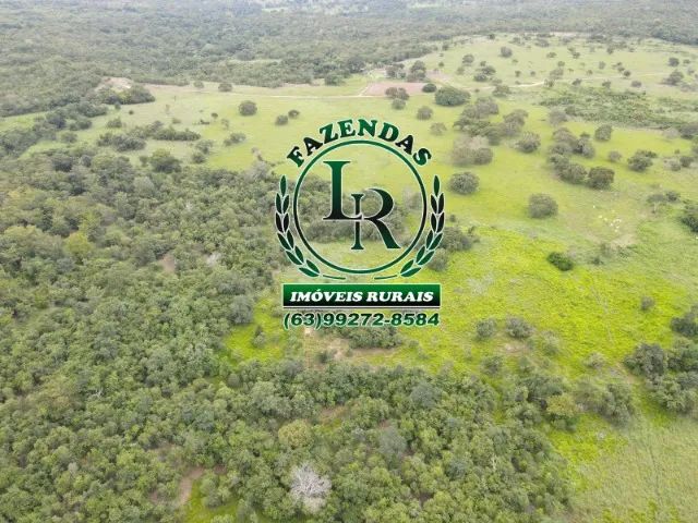 Fazenda 183 hectares, Próximo a Paraiso do Tocantins - Foto 5