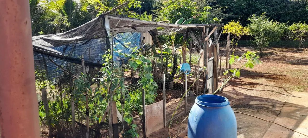 Sitio nas 3 barras  tem 2 laguinhos  - Foto 3