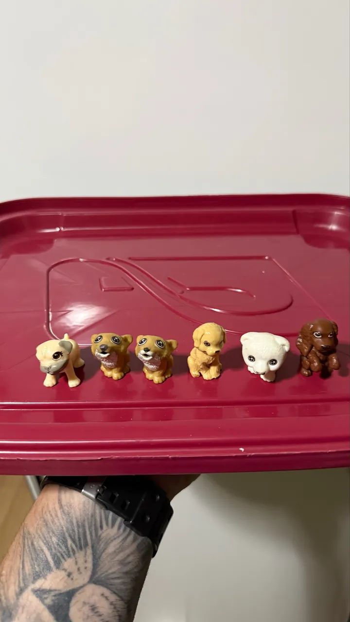 Lotinho cachorros em miniatura