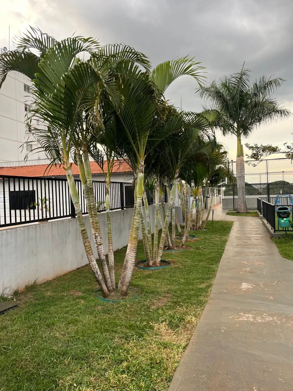 Apartamento no Jardim Ipê - Foto 2