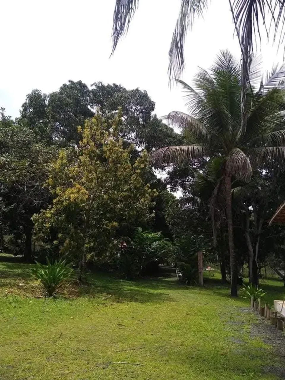VENDO CHÁCARA COM PISCINA - Foto 4