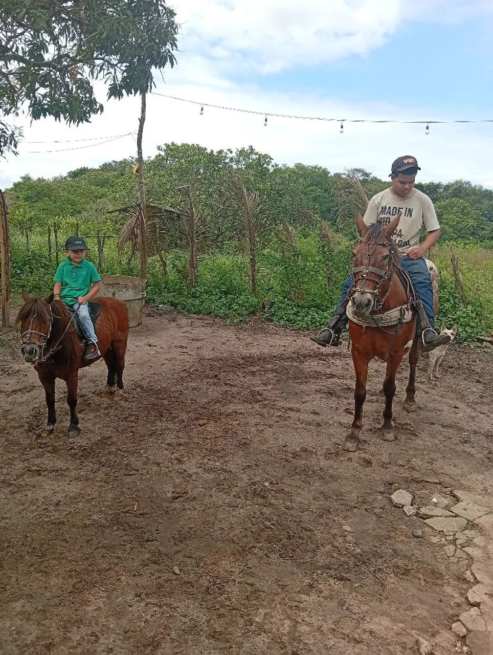 Vendo lindo ponei - Foto 4