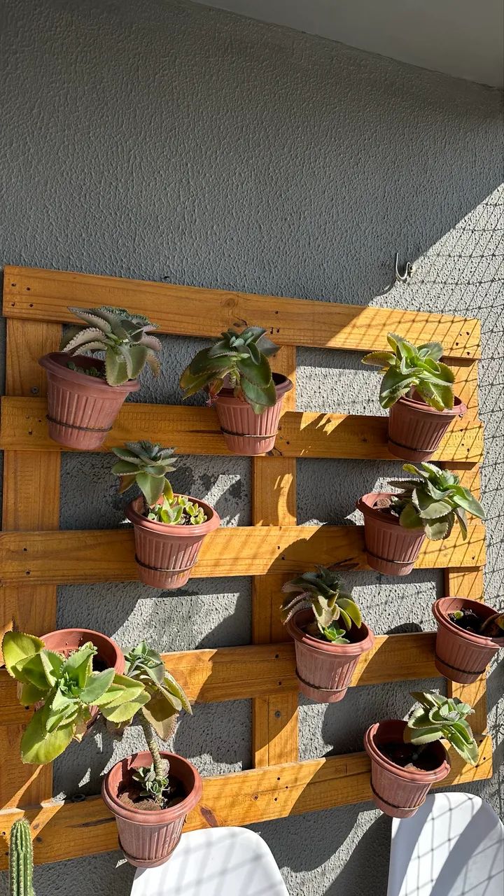 Jardim Vertical (Pallet, suportes e plantas) - Foto 2