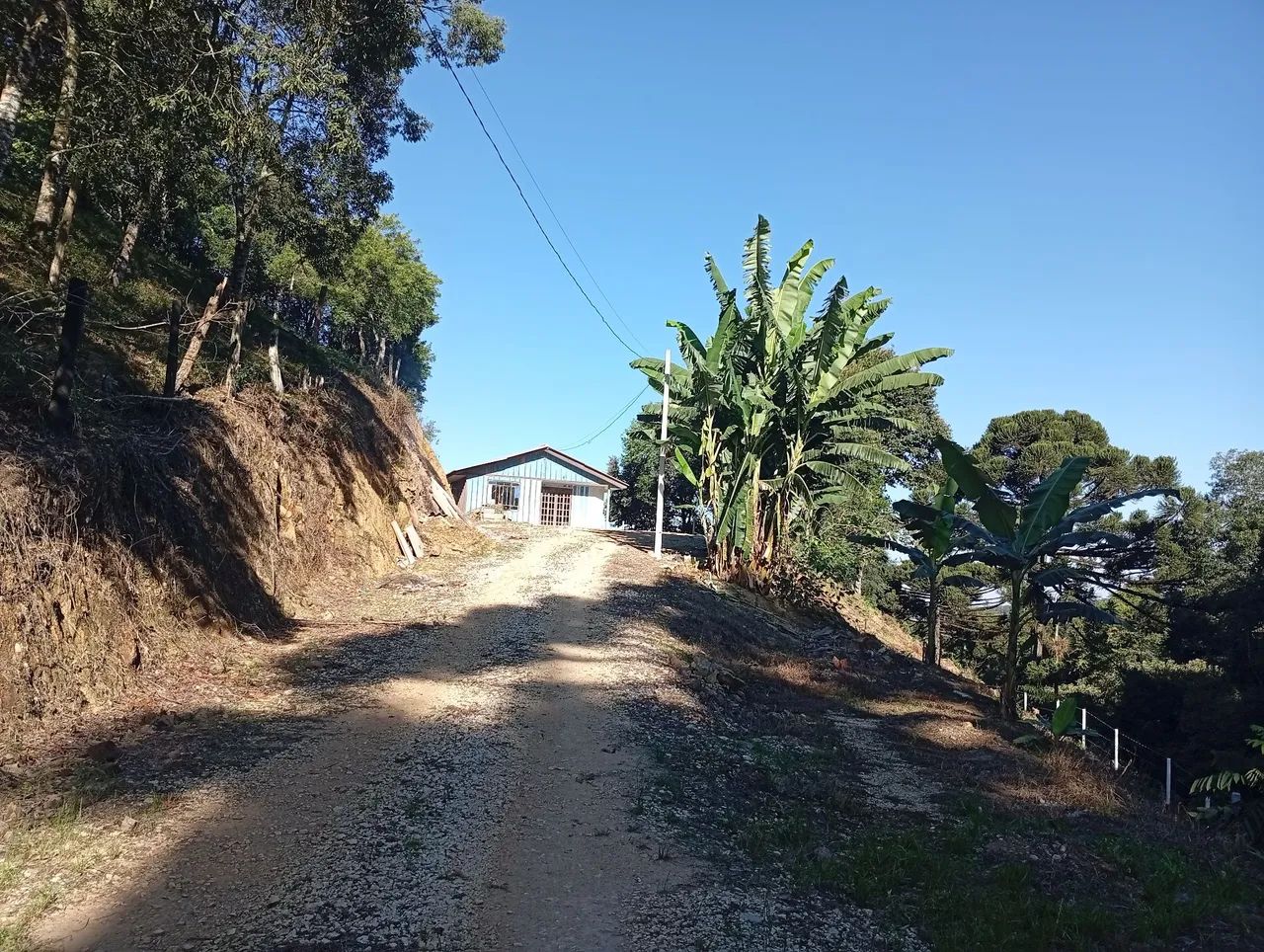 Vende-se chácara  - Foto 3