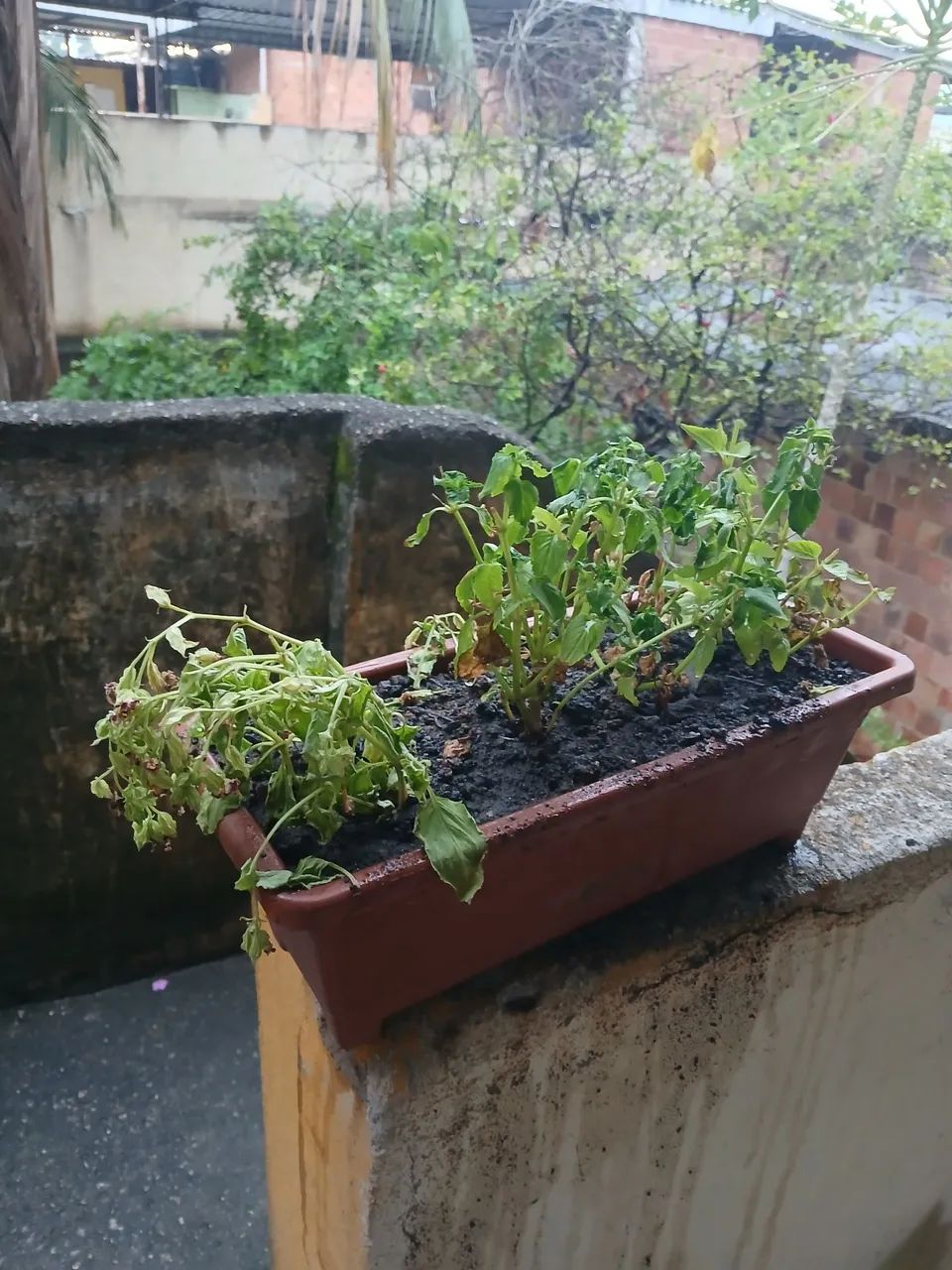 Vende-se casa com terreno - Foto 2