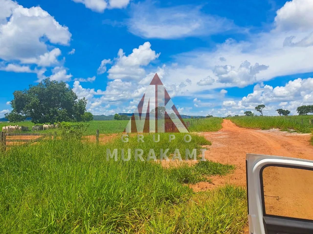 FAZENDA - RIO NEGRO - MS - Foto 5