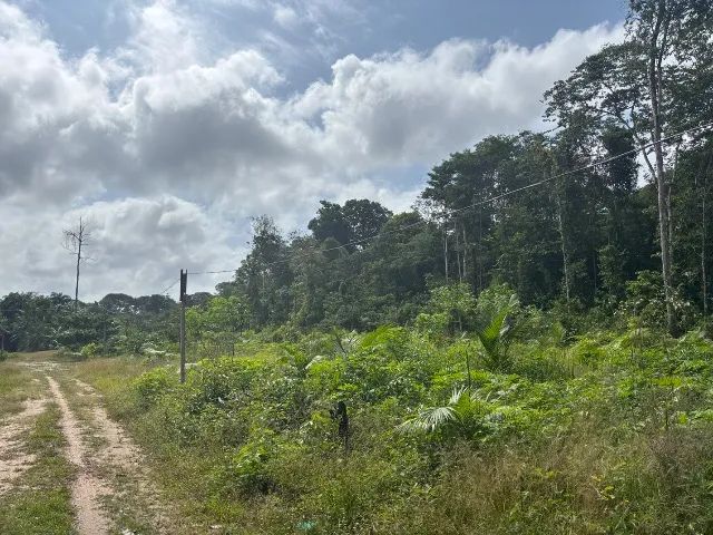 Vendo Lindo Sítio em Santa Bárbara do Pará. - Foto 2