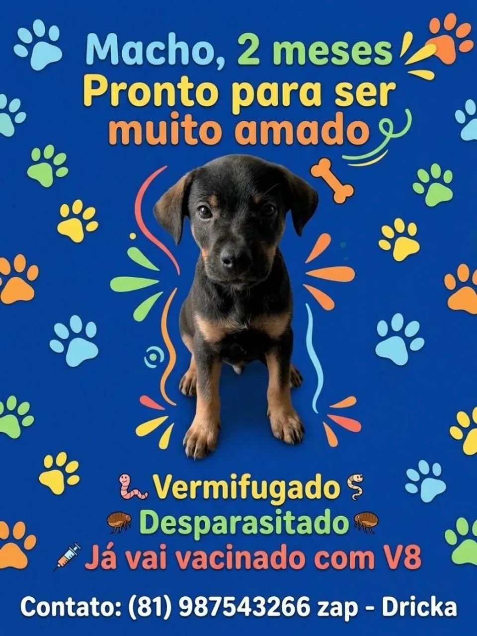 ADOÇÃO RESPONSÁVEL  - Foto 2