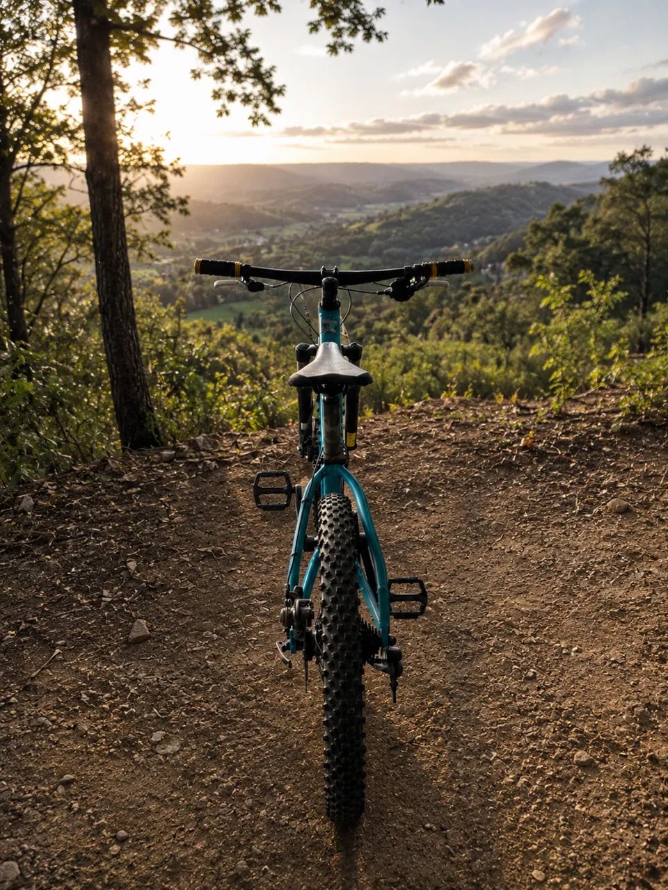 Bicicleta  - Foto 2