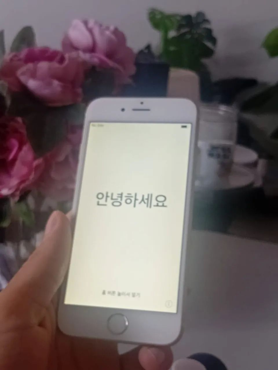 IPhone Rose 64 Gigabytes Conservado 