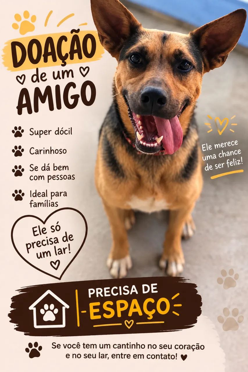 Adoção responsável 