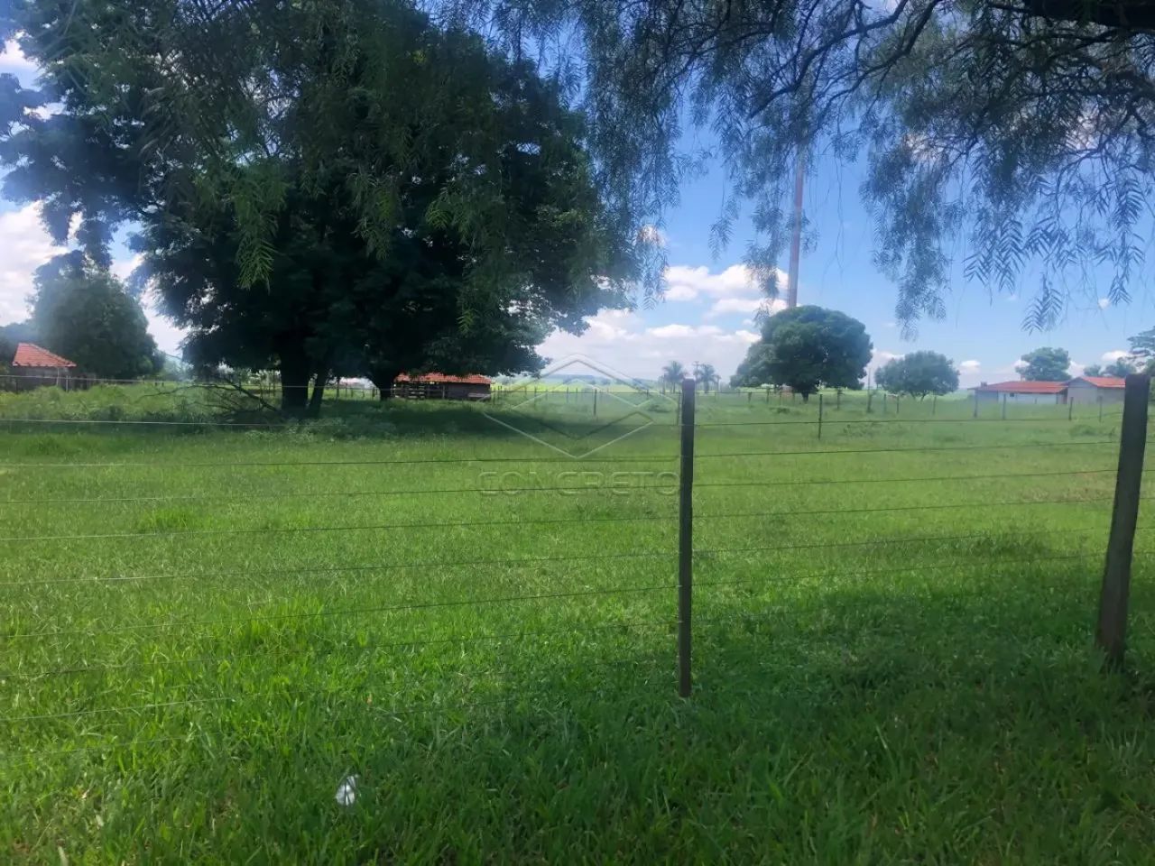 Lote rural em Arealva - centro da cidade!! - Foto 3