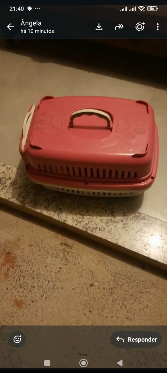 Casinha para gato - Foto 5
