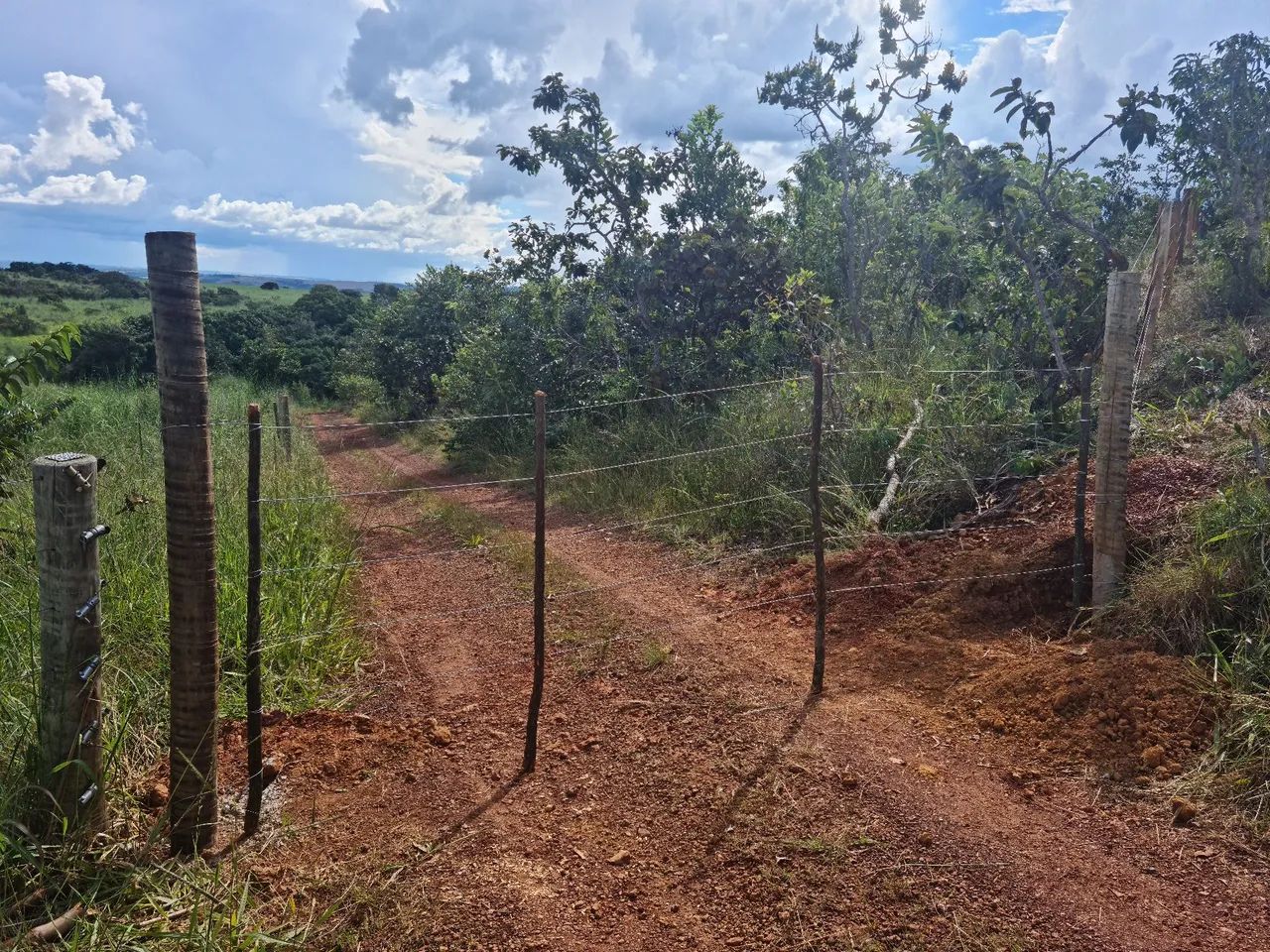 Chácara  - Foto 5
